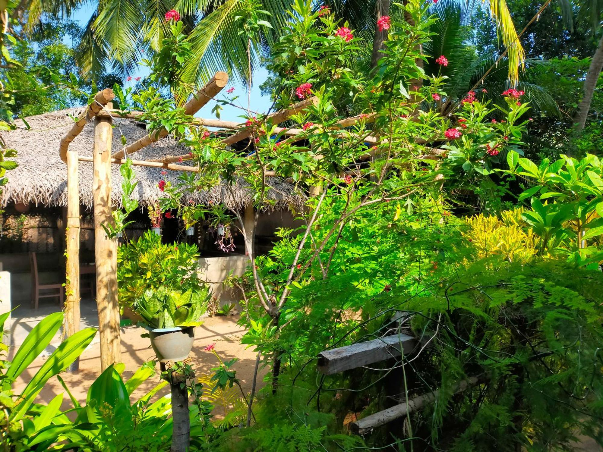 Hotel Eastwind Surf Camp Arugam Bay Exteriér fotografie